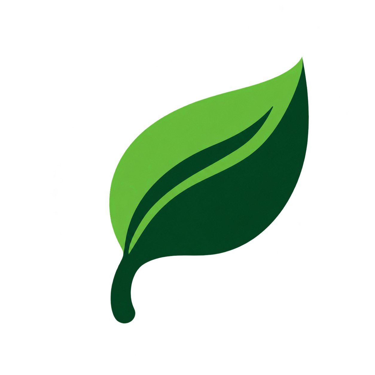 Houseplant care, made clear